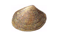 Amêijoa boa